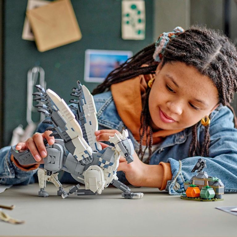 LEGO Harry Potter Buck Hippogriffe 76427 : Avis et test