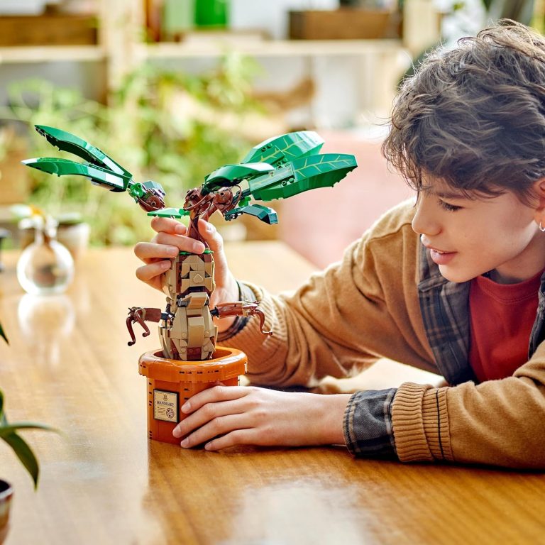 LEGO Harry Potter Mandragore 76433 : Avis et test