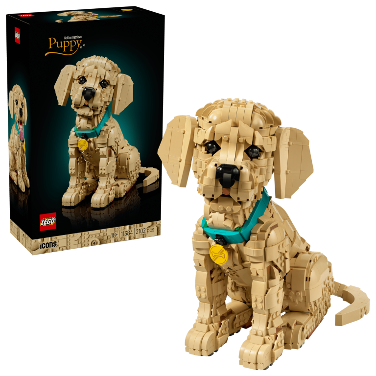 LEGO Icons Le Chiot Golden Retriever 11384 : Avis et test