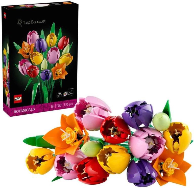 LEGO Botanicals Le Bouquet de Tulipes 11501 : Avis et test