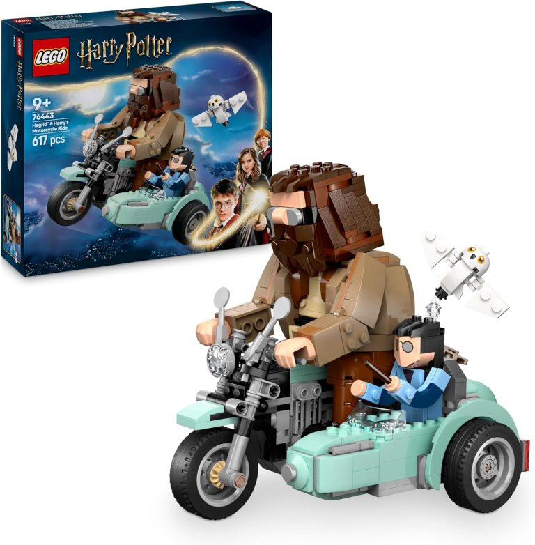LEGO Harry Potter La Balade en Moto de Hagrid et Harry 76443 : Avis et test