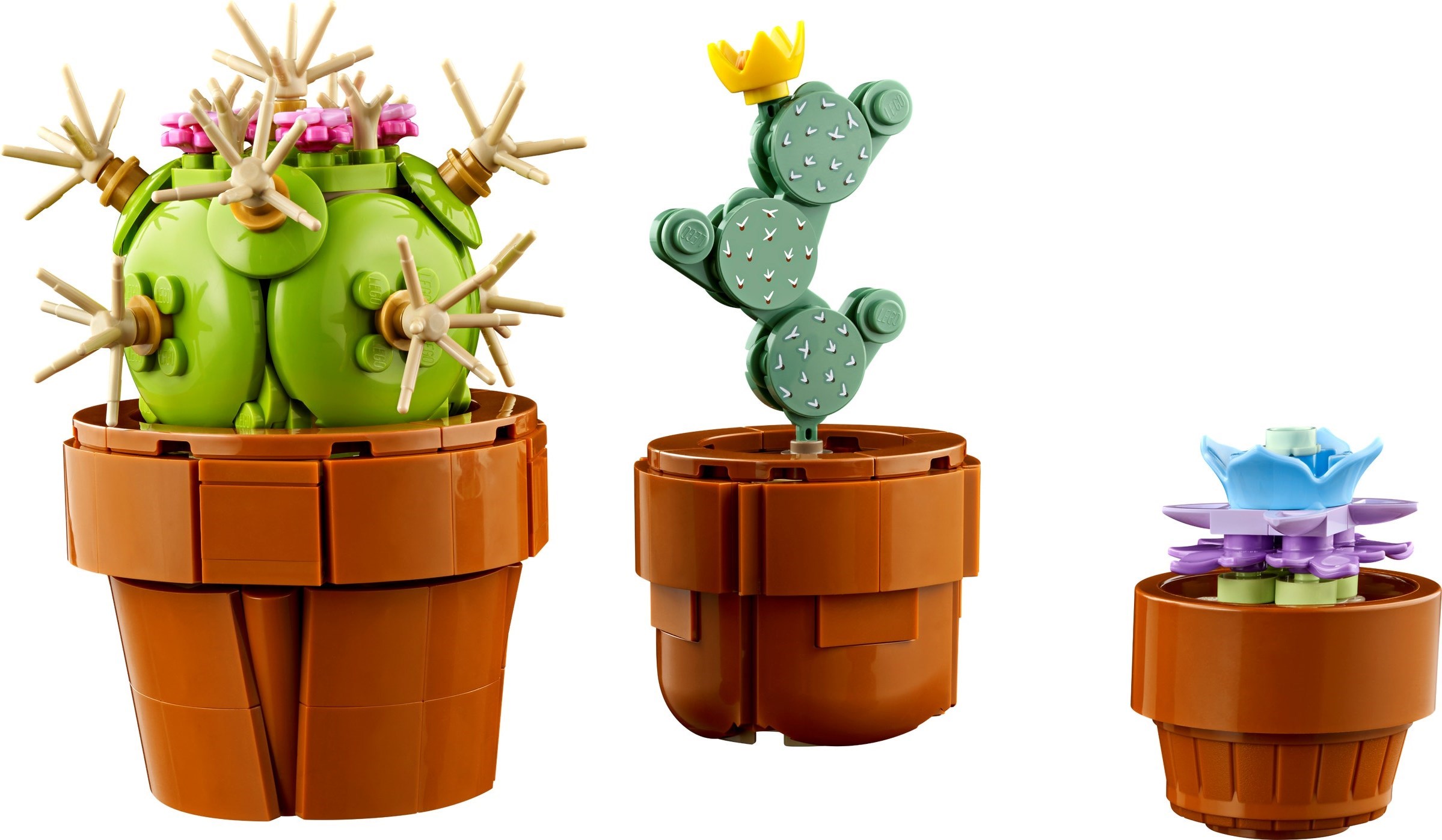 LEGO Botanicals Les Plantes Miniatures 10329 - cactus figuier de Barbarie et succulente bleue