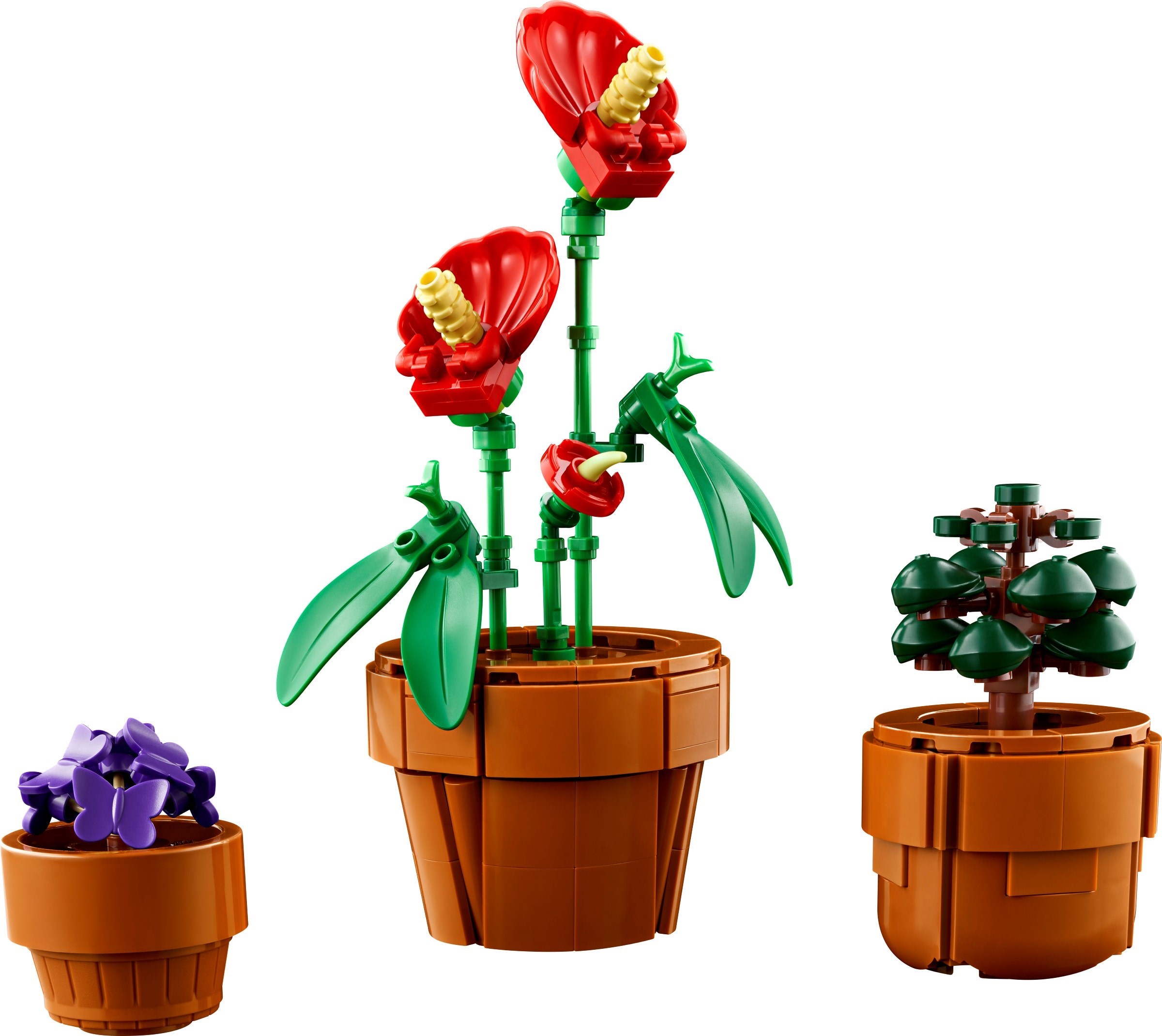 LEGO Botanicals Les Plantes Miniatures 10329 - anthurium rouge violette et sapin miniature