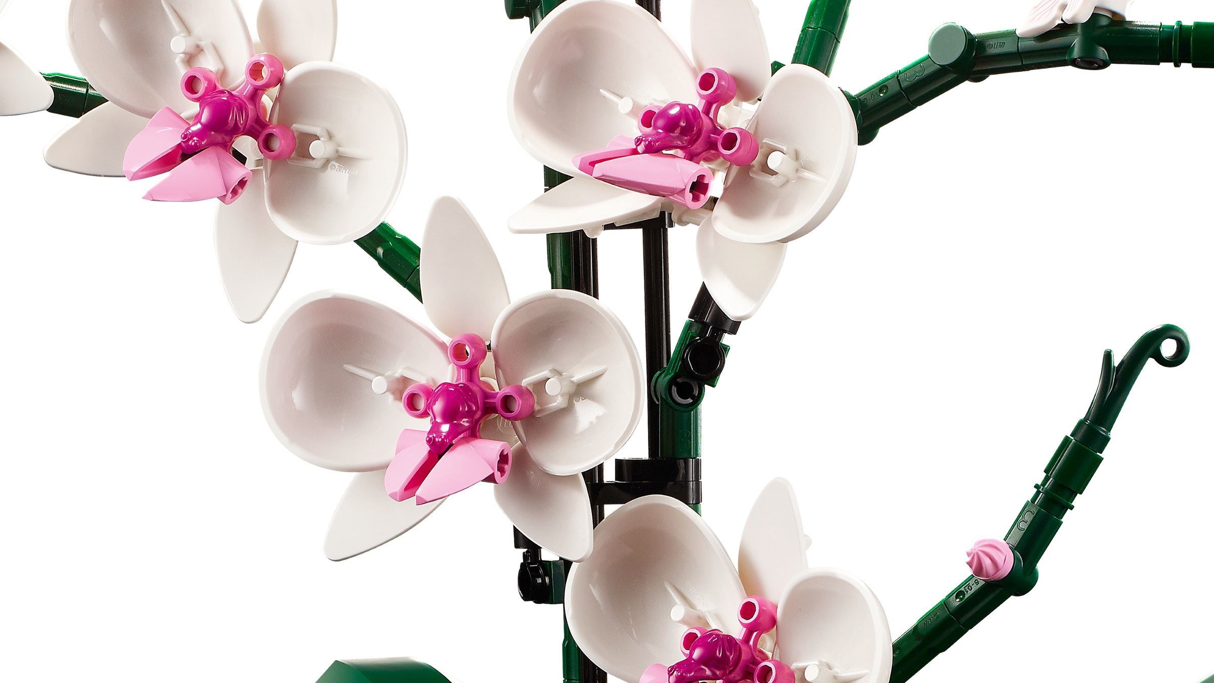 LEGO Botanicals Orchidée 10311 - détail des fleurs blanches et roses